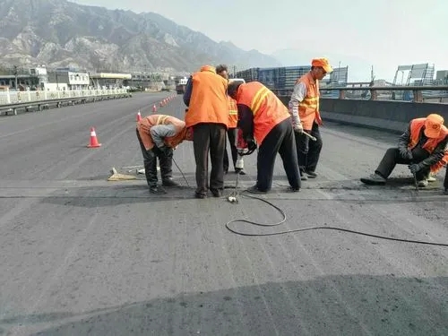 庄河道路桥梁病害治理